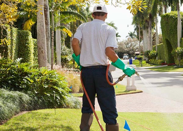About Beaver Springs PA Pest Control